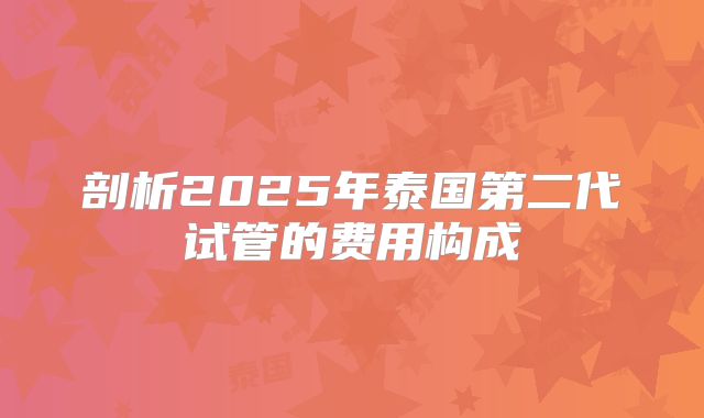 剖析2025年泰国第二代试管的费用构成