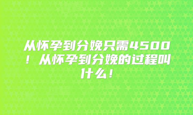 从怀孕到分娩只需4500！从怀孕到分娩的过程叫什么！