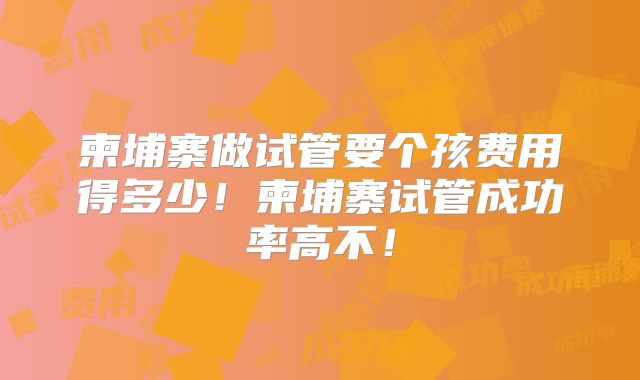 柬埔寨做试管要个孩费用得多少！柬埔寨试管成功率高不！