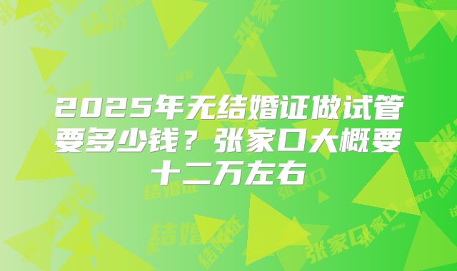 2025年无结婚证做试管要多少钱？张家口大概要十二万左右