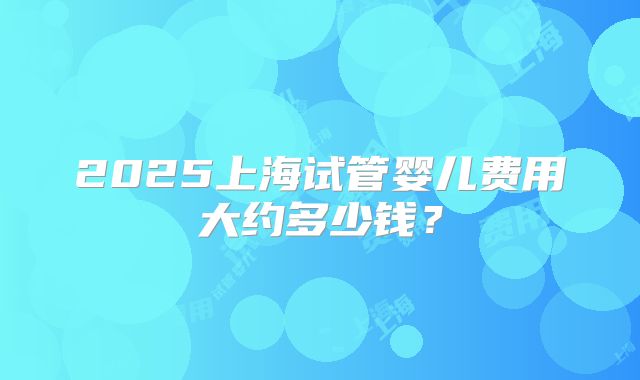 2025上海试管婴儿费用大约多少钱？