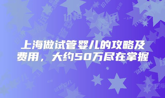 上海做试管婴儿的攻略及费用,大约50万尽在掌握