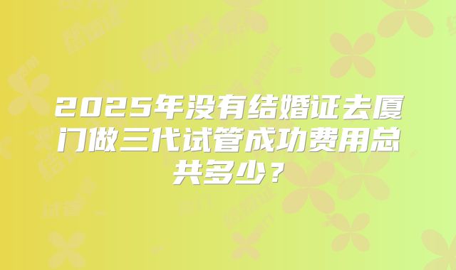 2025年没有结婚证去厦门做三代试管成功费用总共多少？