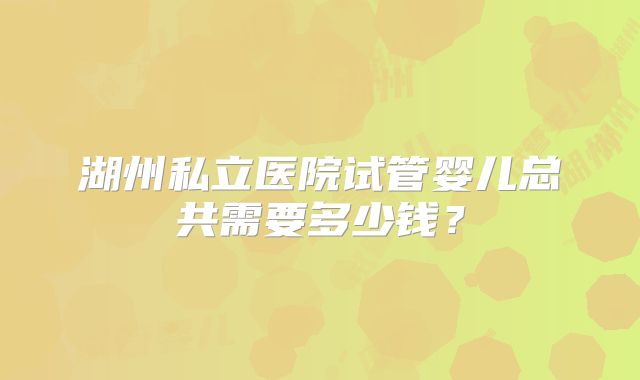 湖州私立医院试管婴儿总共需要多少钱？
