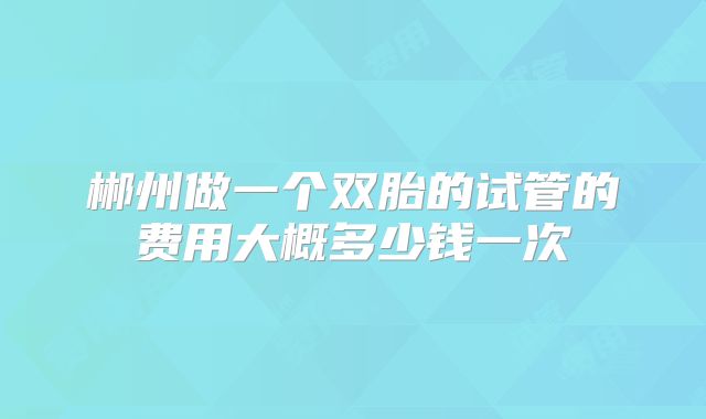 郴州做一个双胎的试管的费用大概多少钱一次