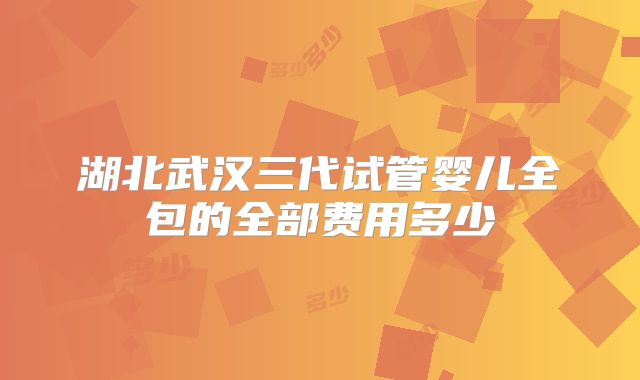 湖北武汉三代试管婴儿全包的全部费用多少