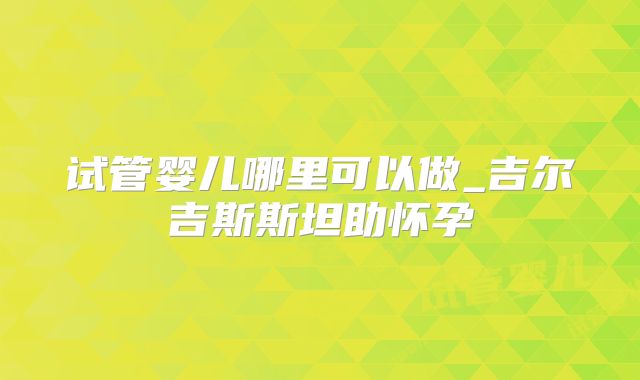 试管婴儿哪里可以做_吉尔吉斯斯坦助怀孕
