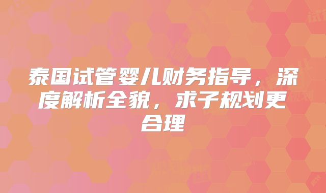 泰国试管婴儿财务指导,深度解析全貌,求子规划更合理