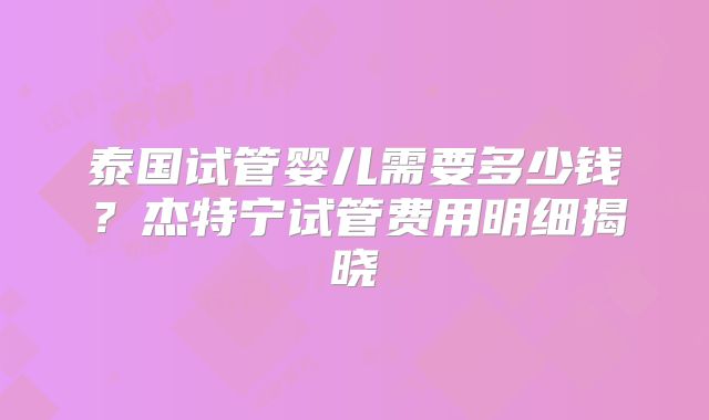泰国试管婴儿需要多少钱？杰特宁试管费用明细揭晓