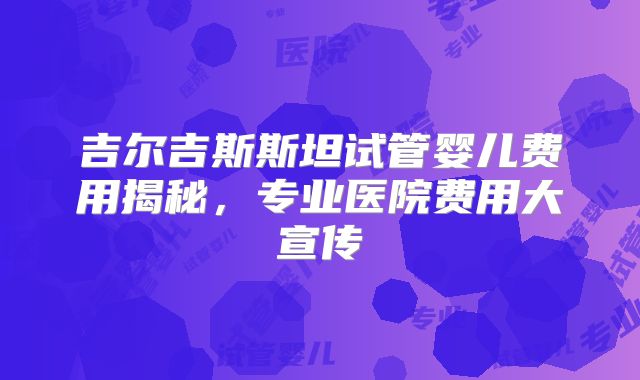 吉尔吉斯斯坦试管婴儿费用揭秘,专业医院费用大宣传