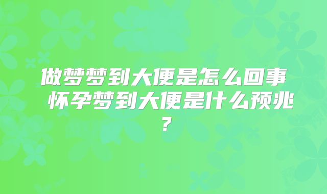 做梦梦到大便是怎么回事 怀孕梦到大便是什么预兆？