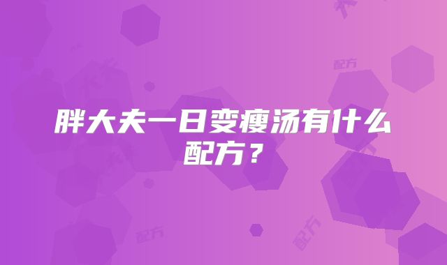 胖大夫一日变瘦汤有什么配方?
