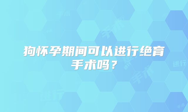狗怀孕期间可以进行绝育手术吗？