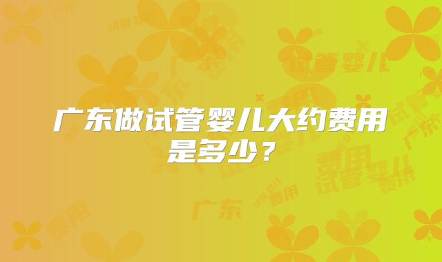 广东做试管婴儿大约费用是多少？