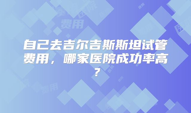 自己去吉尔吉斯斯坦试管费用，哪家医院成功率高？