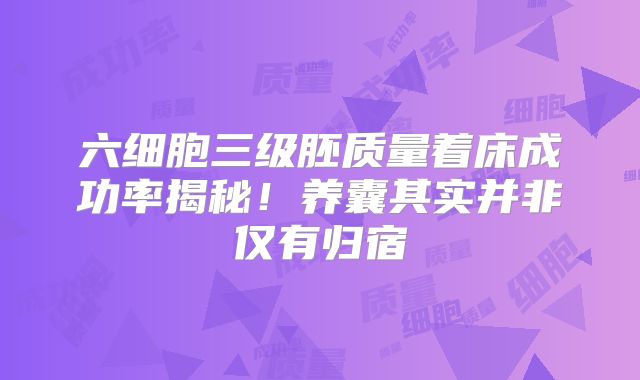 六细胞三级胚质量着床成功率揭秘!养囊其实并非仅有归宿