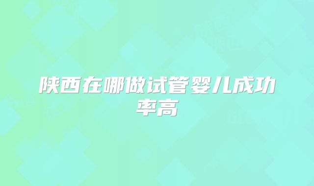陕西在哪做试管婴儿成功率高