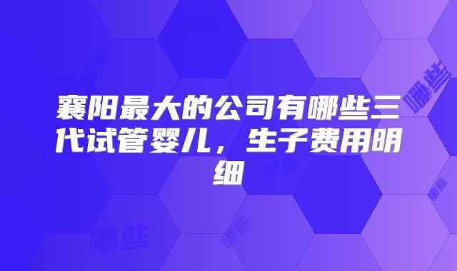 襄阳最大的公司有哪些三代试管婴儿，生子费用明细
