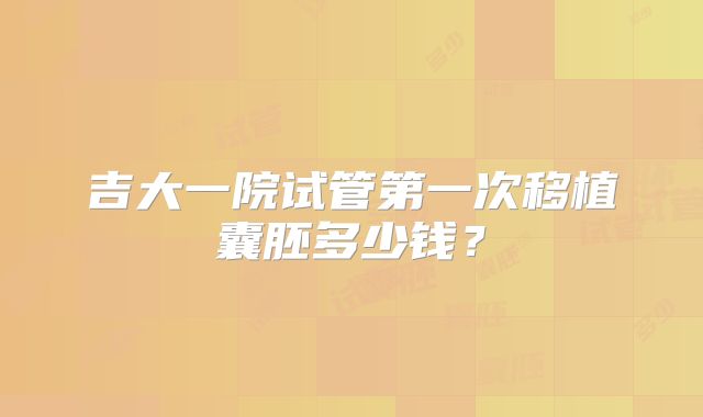 吉大一院试管第一次移植囊胚多少钱？