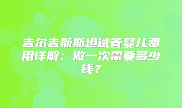 吉尔吉斯斯坦试管婴儿费用详解：做一次需要多少钱？