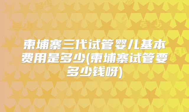 柬埔寨三代试管婴儿基本费用是多少(柬埔寨试管要多少钱呀)