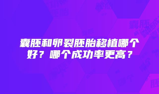 囊胚和卵裂胚胎移植哪个好？哪个成功率更高？