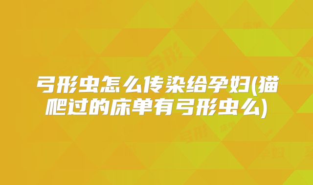 弓形虫怎么传染给孕妇(猫爬过的床单有弓形虫么)