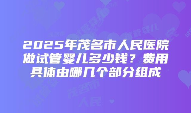 2025年茂名市人民医院做试管婴儿多少钱？费用具体由哪几个部分组成