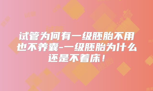 试管为何有一级胚胎不用也不养囊-一级胚胎为什么还是不着床！