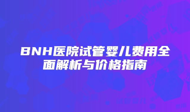 BNH医院试管婴儿费用全面解析与价格指南