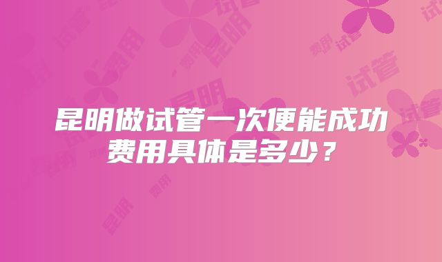昆明做试管一次便能成功费用具体是多少？