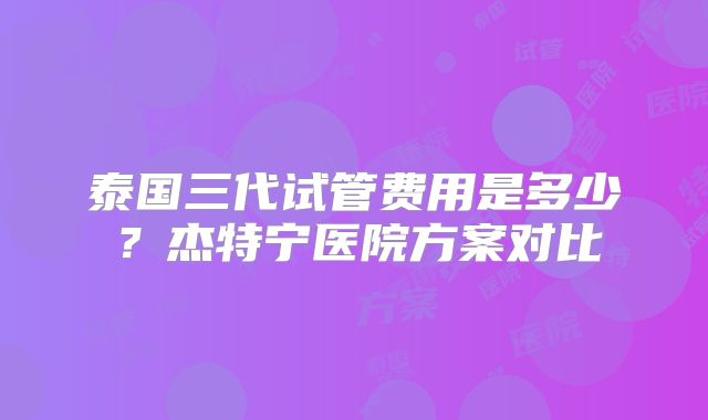 泰国三代试管费用是多少？杰特宁医院方案对比