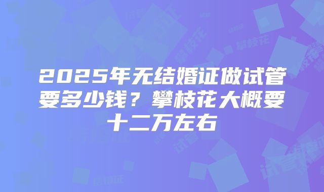 2025年无结婚证做试管要多少钱？攀枝花大概要十二万左右