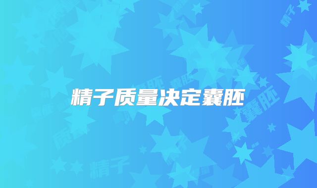 精子质量决定囊胚