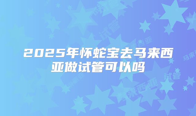 2025年怀蛇宝去马来西亚做试管可以吗