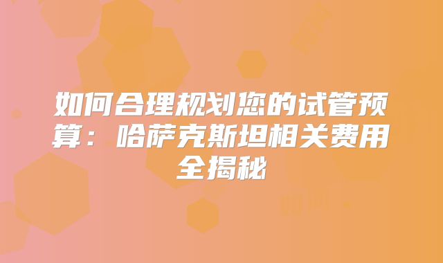 如何合理规划您的试管预算：哈萨克斯坦相关费用全揭秘