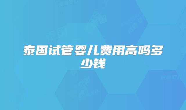 泰国试管婴儿费用高吗多少钱