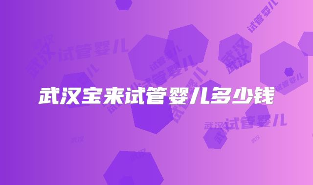 武汉宝来试管婴儿多少钱