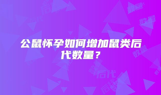 公鼠怀孕如何增加鼠类后代数量？