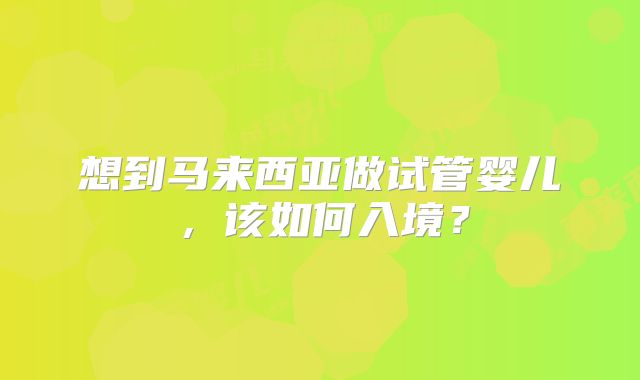 想到马来西亚做试管婴儿，该如何入境？