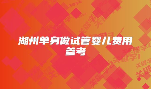 湖州单身做试管婴儿费用参考