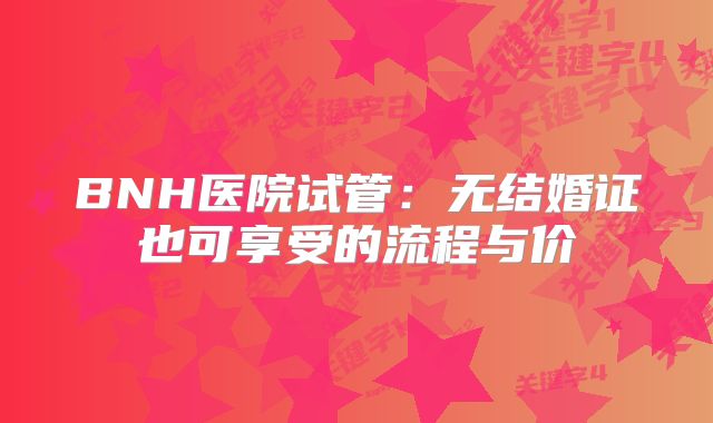 BNH医院试管:无结婚证也可享受的流程与价