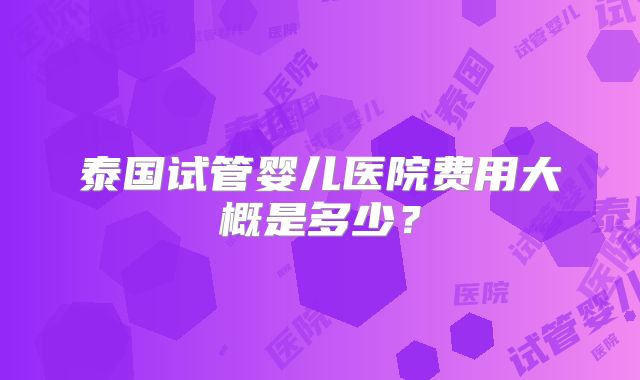 泰国试管婴儿医院费用大概是多少?