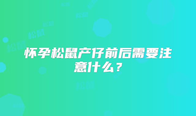 怀孕松鼠产仔前后需要注意什么？