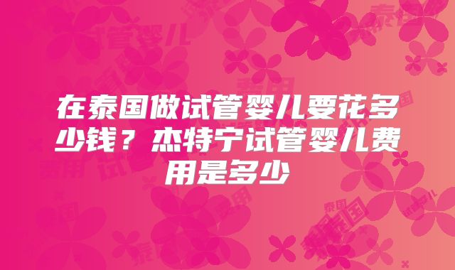 在泰国做试管婴儿要花多少钱？杰特宁试管婴儿费用是多少