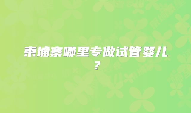 柬埔寨哪里专做试管婴儿？