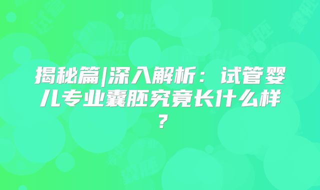 揭秘篇|深入解析:试管婴儿专业囊胚究竟长什么样?