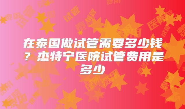 在泰国做试管需要多少钱？杰特宁医院试管费用是多少