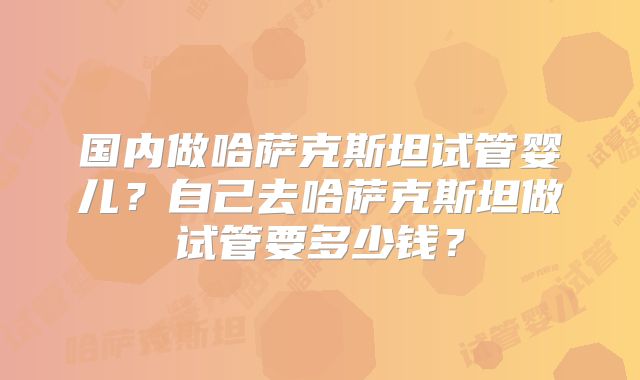 国内做哈萨克斯坦试管婴儿？自己去哈萨克斯坦做试管要多少钱？
