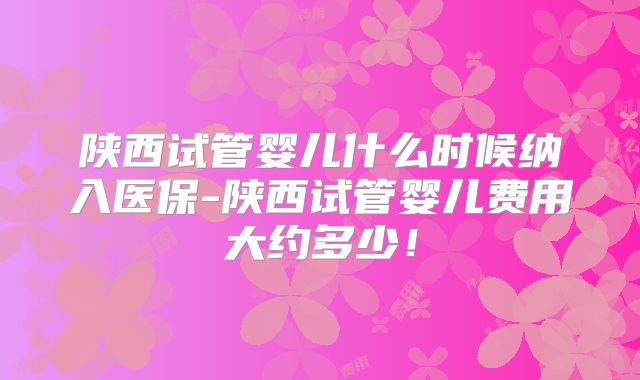 陕西试管婴儿什么时候纳入医保-陕西试管婴儿费用大约多少！